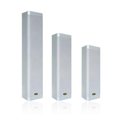 Внутренняя колонка BGM Speaker RH-CS6 Series